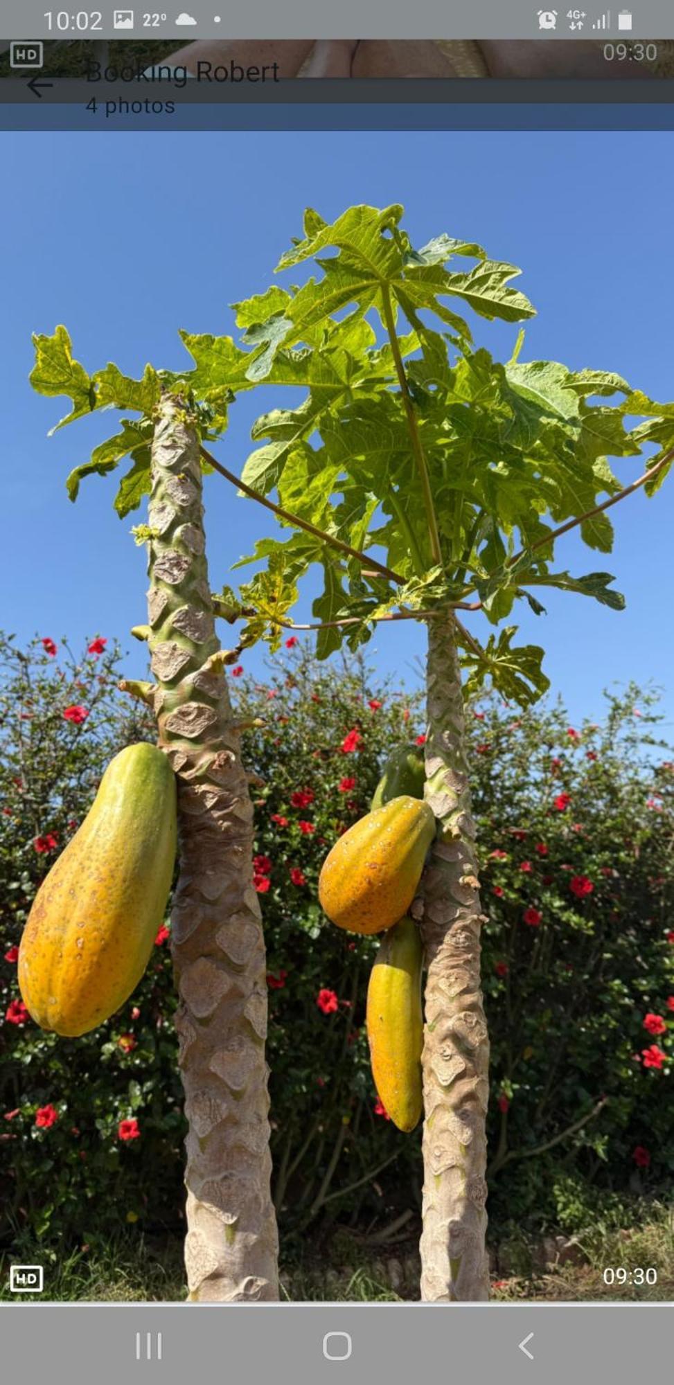 Oulad YakoubFerme Bouhouch公寓 外观 照片
